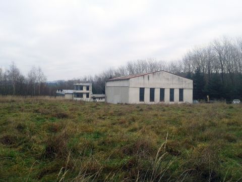 Foto 16